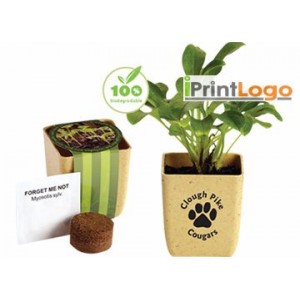 ECO FRIENDLY KITCHEN AND HOME-IGT-FT2411